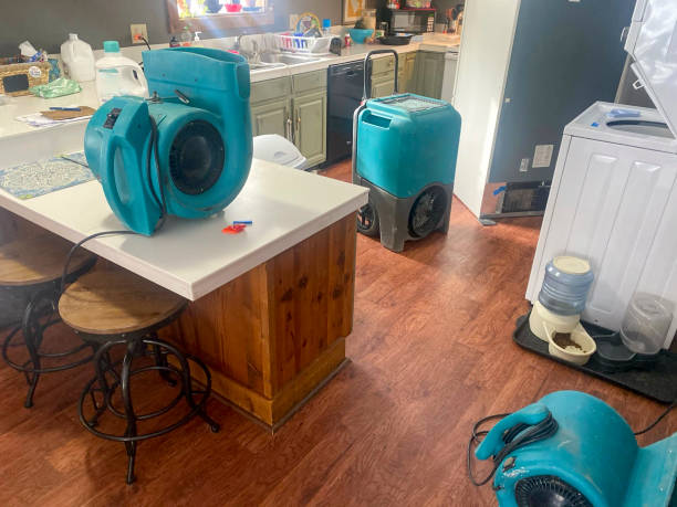 Best Professional water damage repair  in Trinity, NC