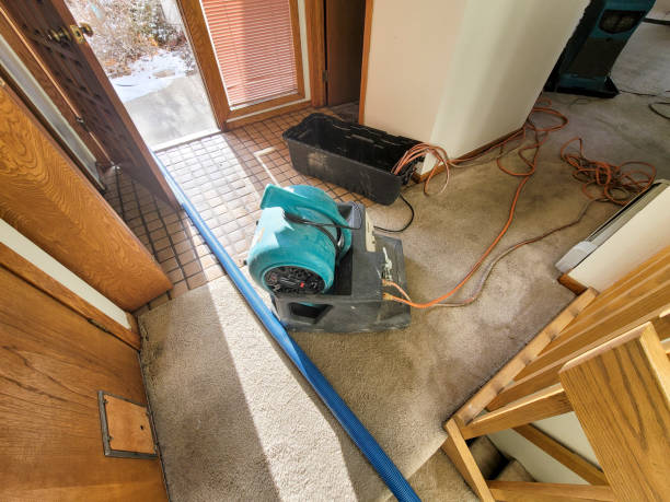 Best Flooded house restoration  in Trinity, NC