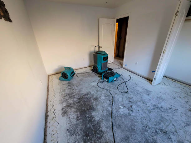 Best Professional water damage repair  in Trinity, NC