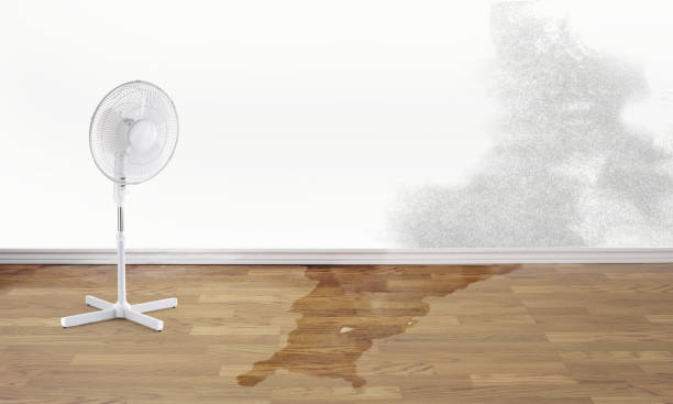 Reliable Trinity, NC Water damage restoration Solutions