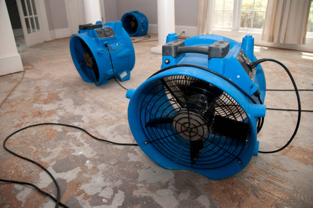  Trinity, NC Water damage restoration Pros