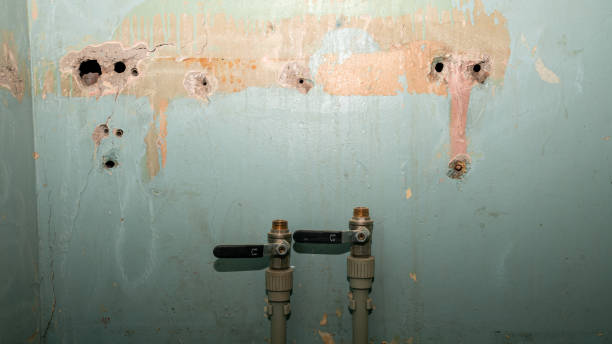 Best Emergency water damage restoration  in Trinity, NC
