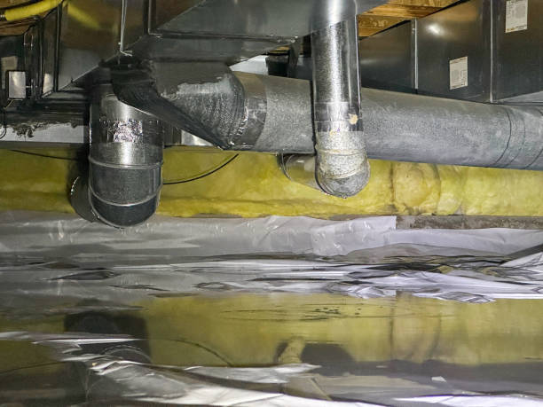 Best Professional water damage repair  in Trinity, NC