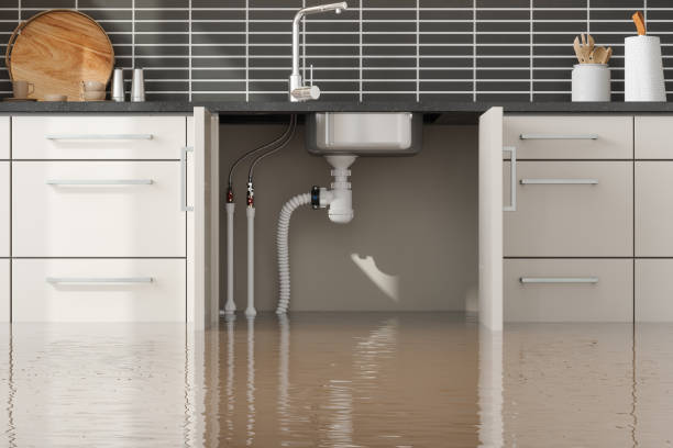 Best Fire Damage Restoration  in Trinity, NC