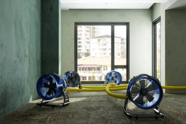 Best Water damage restoration cost  in Trinity, NC